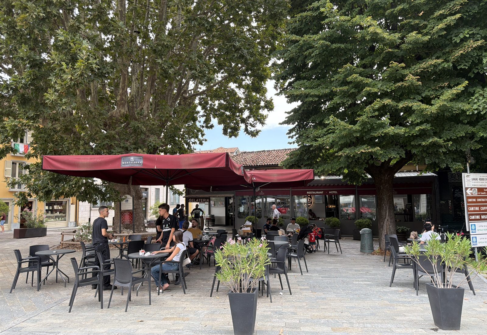 The terrace of Caffè Torino under the plane tree in Canelli's square