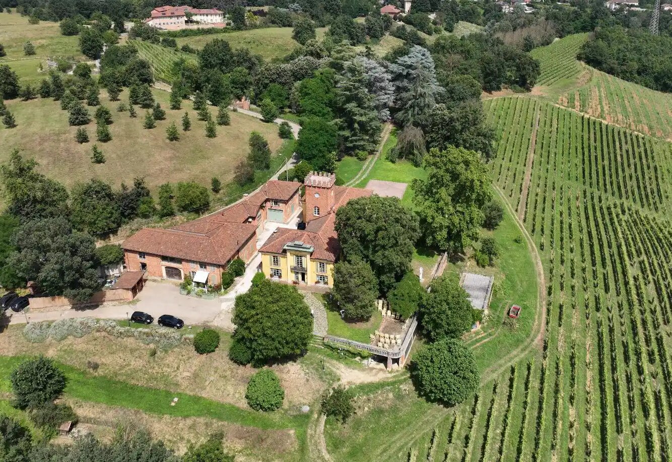 Aerial view of La Torre di Viatosto: a villa with a crenellated tower among trees, and rows of vines running down the hill beside it