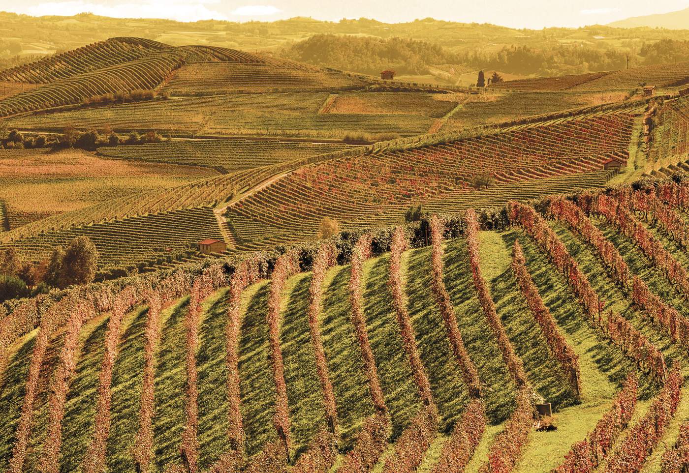 Vermouth tasting at La Canellese