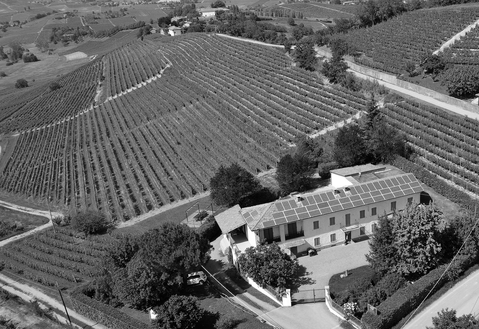 Aerial view of the Ca 'd Tantin farmhouse and its terrace pergola among sloping vineyard rows near Calosso (black and white)