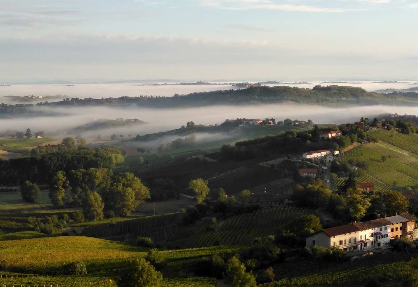 Morning mist lying in the valleys below the vineyards and farmhouses around Calosso