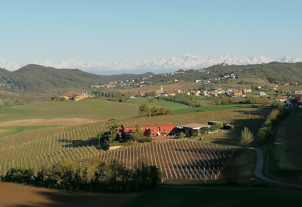 Cellar tasting with Cabiale Roberto
