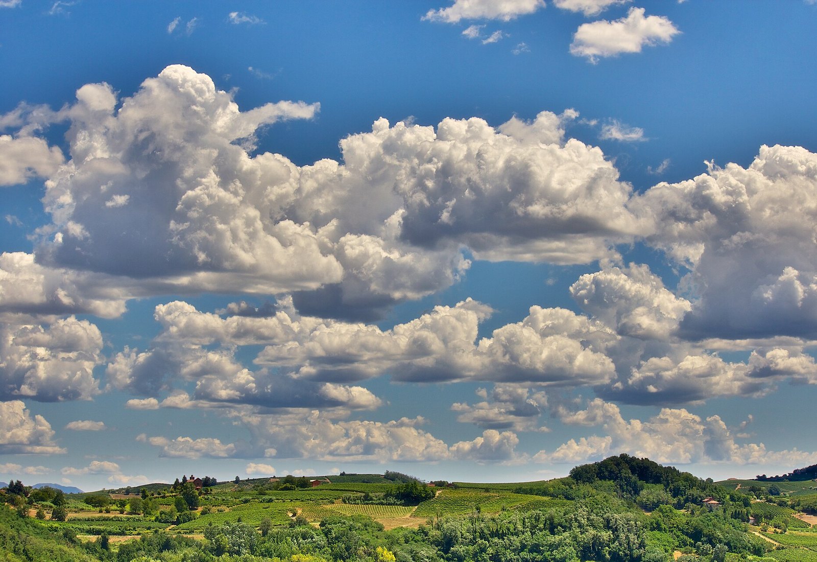 Rolling vineyard hills of the Monferrato near Moncalvo