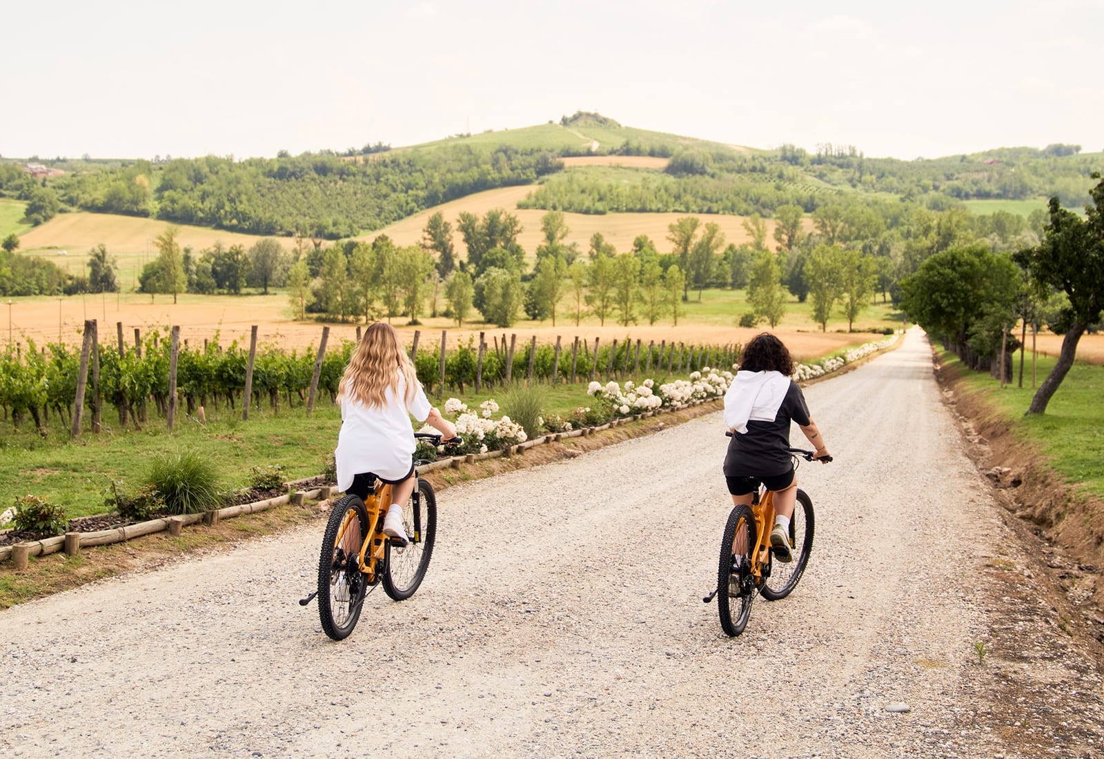 Two riders on e-bikes on a lane between vineyards below the Monferrato hills at Montemagno