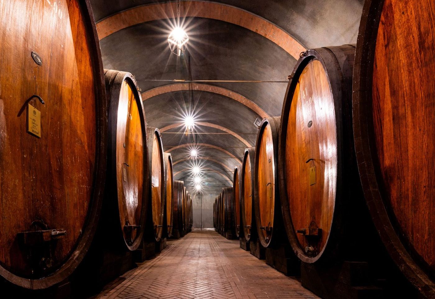 Bersano cellar tour & Nizza DOCG tasting