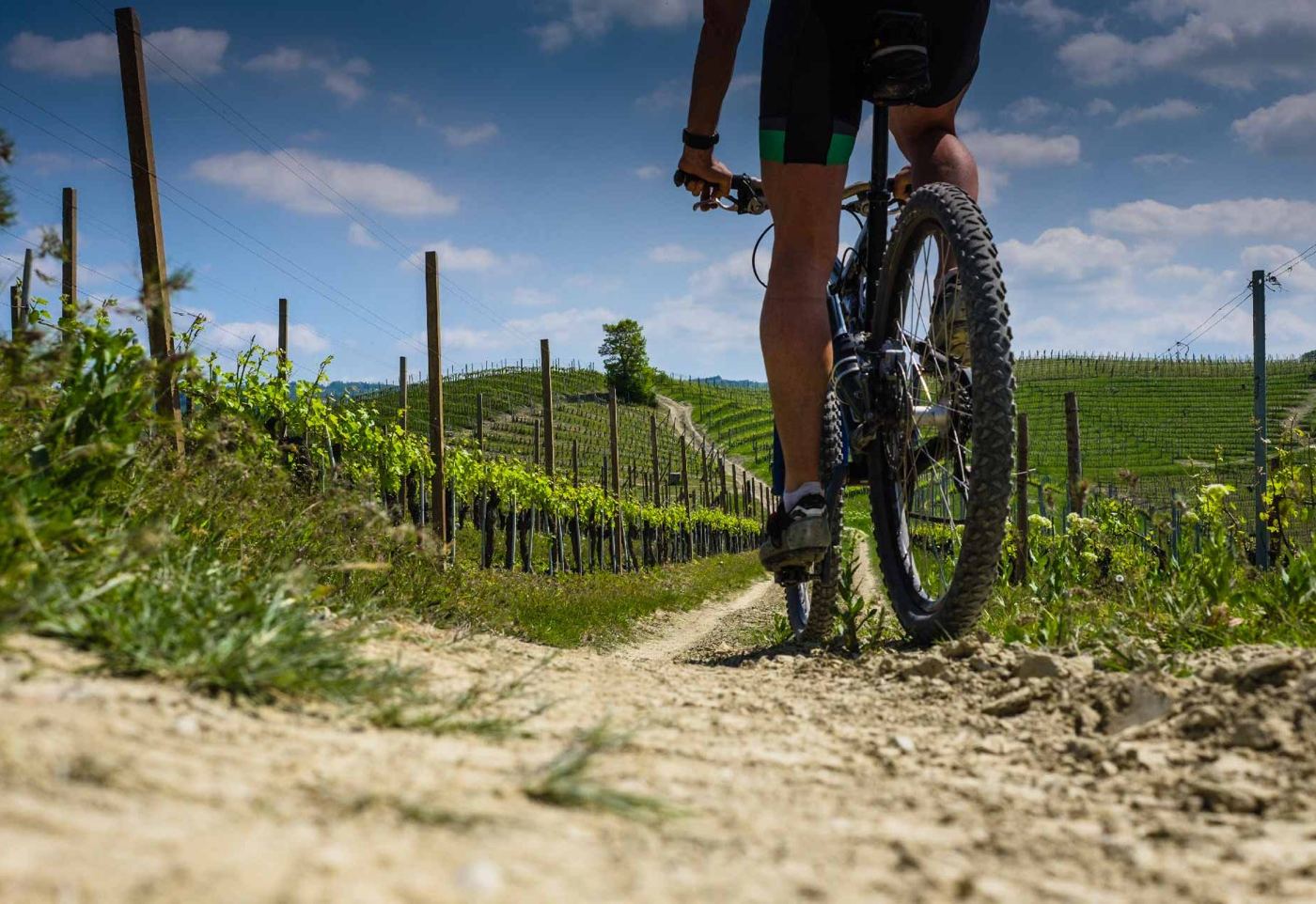 Guided e-bike & cycling tours — Mon Bike Tour