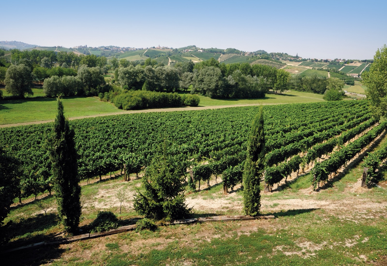Family wine tasting at Cascina Guido Berta