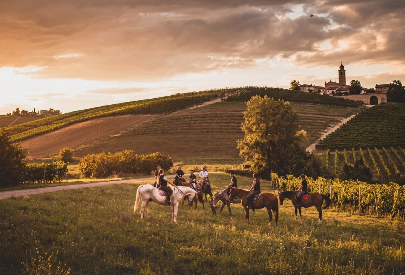 Storytelling horseback trek through the vineyards