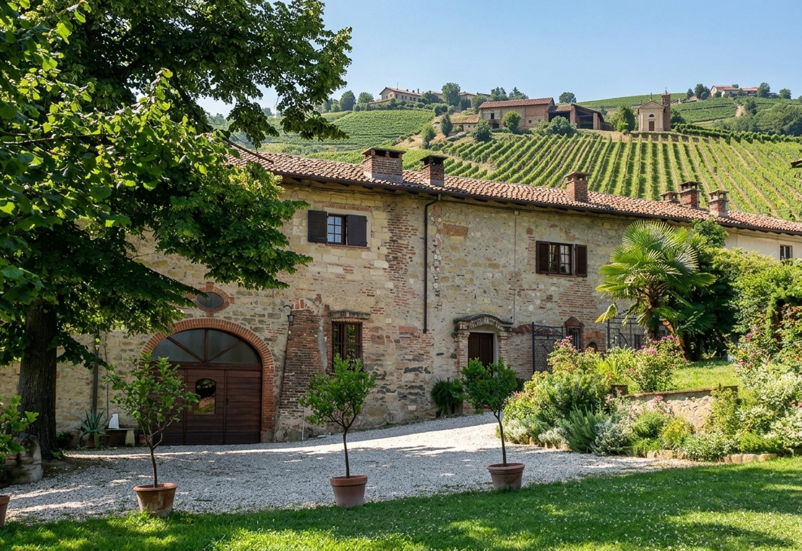 Organic cellar tasting at Oreste Buzio