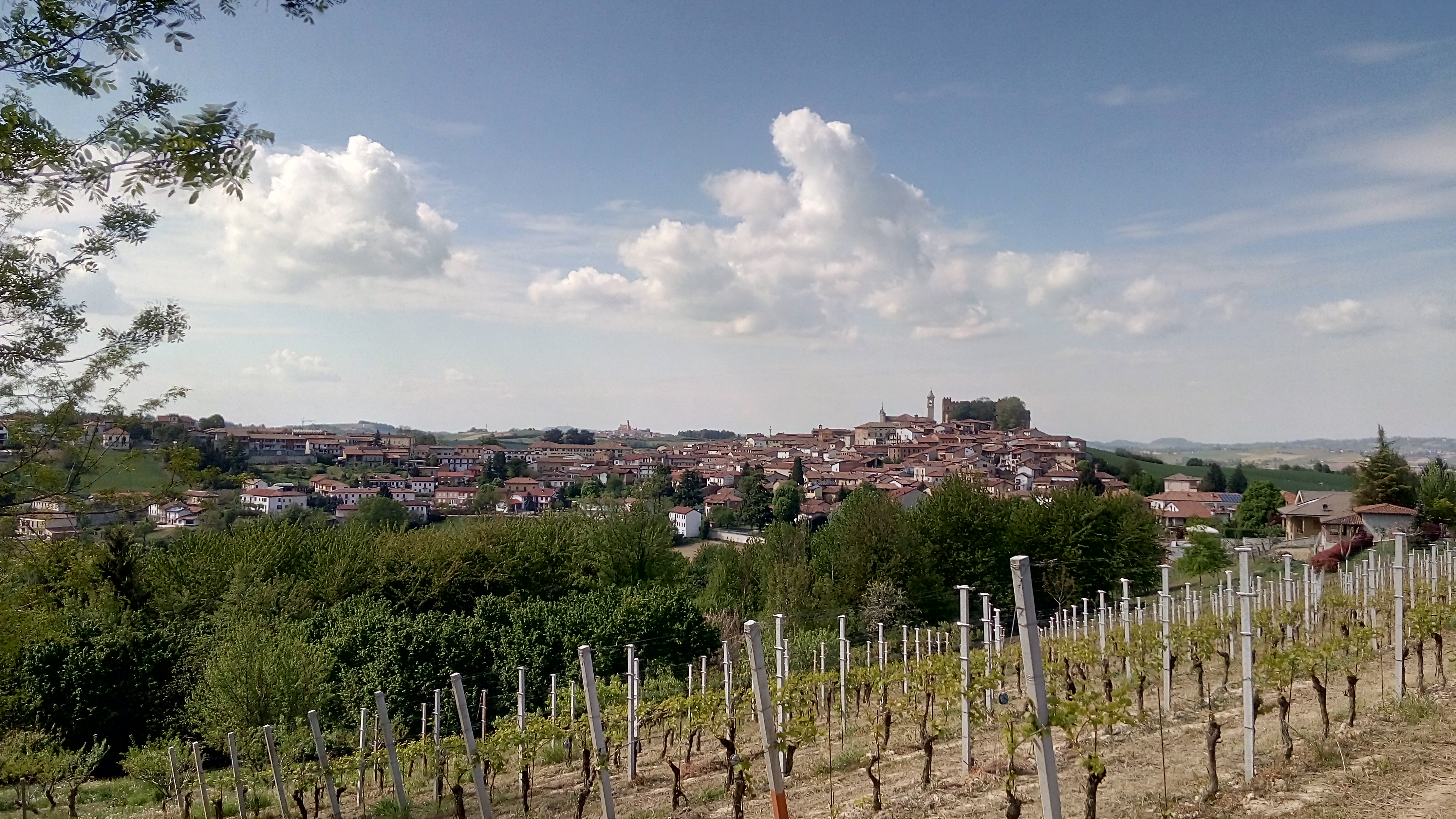The hilltop village of Montemagno Monferrato rising above its vineyards on a sunny day, the castle and church tower crowning the ridge